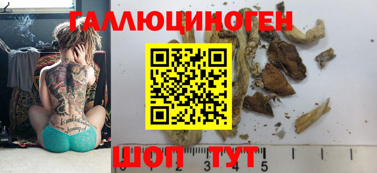 Псилоцибиновые грибы мицелий  купить   Свободный  Вход с VPN 